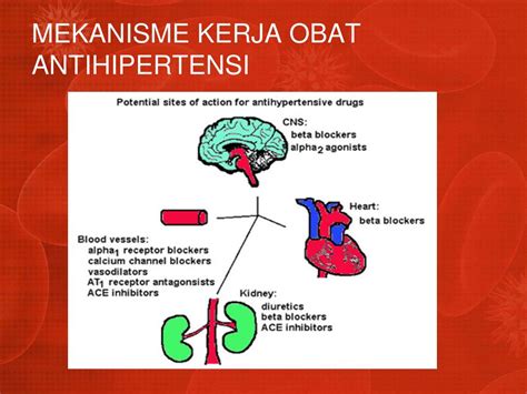 PPT - HIPERTENSI PowerPoint Presentation, free download - ID:4482029