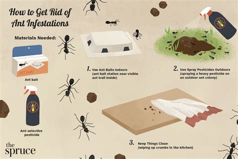 Great Info About How To Get Rid Of Ants In The Walls - Postmary11