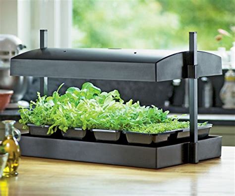 Grow Light System Set Indoor Plant Seed Starter Garden Box Kit Herb Vegetable | eBay