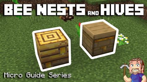 Bees Nest & Hive - Minecraft Micro Guide - YouTube