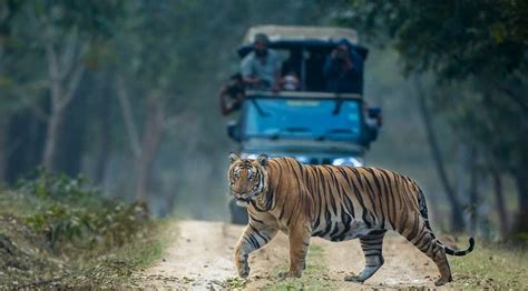 Best Resorts in Kabini | Safari Tour | Kabini Jungle Resorts | Price