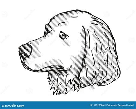 Great Pyrenees Dog Breed Cartoon Retro Drawing Stock Illustration ...