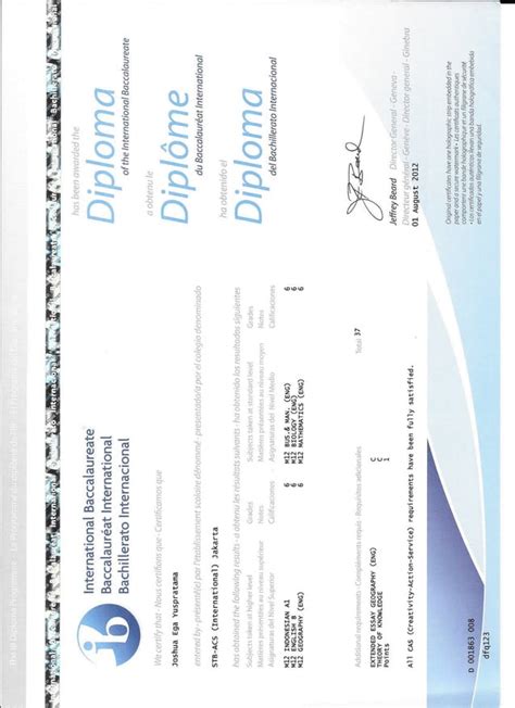 IB Diploma Certificate | PDF