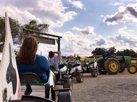 Cow Train – Maize Quest Corn Maze & Fun Park