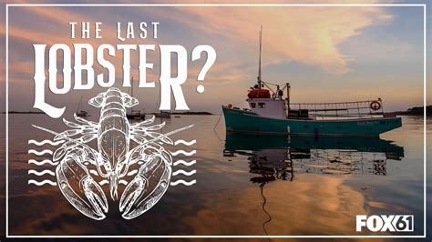 CT's lobster industry is collapsing and warming water is to blame ...