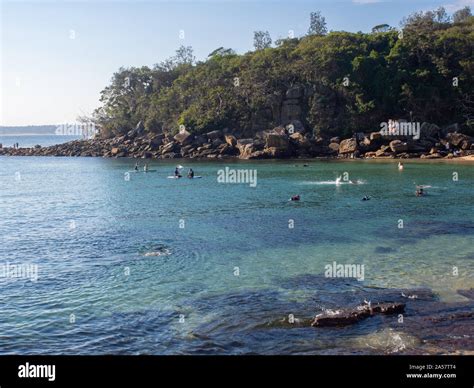 People Swimming And Snorkeling At Shelly Beach In Manly Stock Photo - Alamy