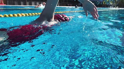 Swimmer Training in Olympic Pool Stock Footage Video (100% Royalty-free ...