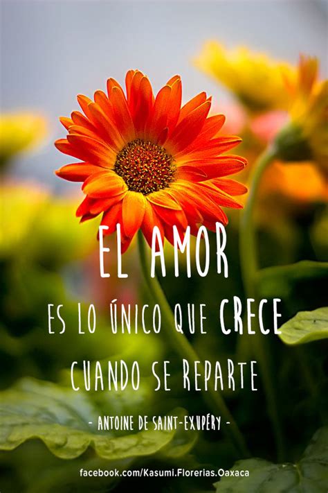 EL AMOR es lo único que crece cuando se comparte :) | Beautiful morning quotes, Good morning ...