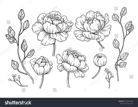 955,260 Flower Outline Images, Stock Photos & Vectors | Shutterstock