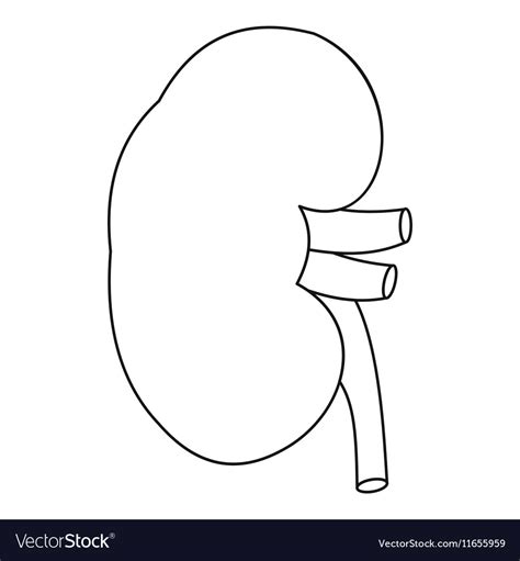 Kidney icon outline style Royalty Free Vector Image