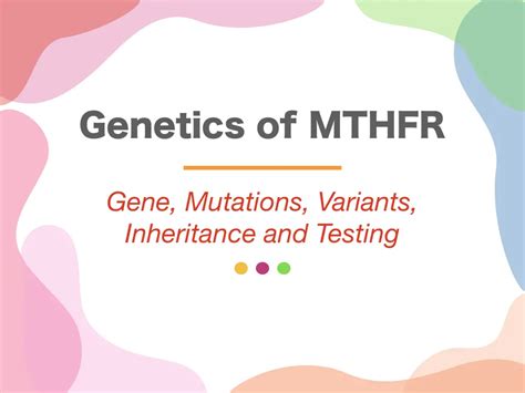 Genetics of MTHFR: Gene, Mutations, Variants, Inheritance and Testing – Genetic Education