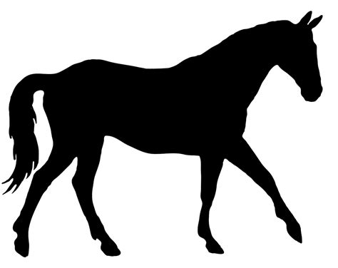 Horse Silhouette | Horse silhouette, Horses, Horse stencil