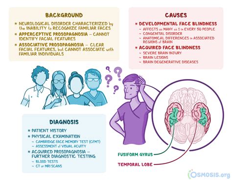 Face Blindness: What Is It, Causes, Diagnosis, and More | Osmosis