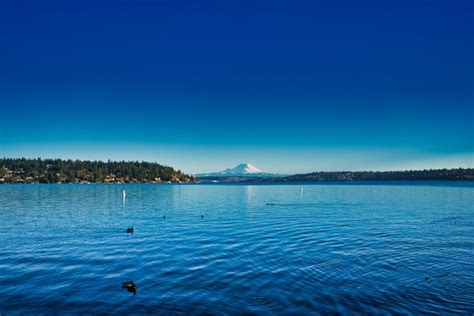 5 Underrated Seattle Parks | Redfin