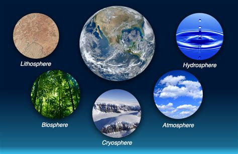 What Are The Plants Found In The Lithosphere? Exploring Earths Greenery