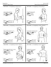 Shoulder exercises.pdf - Routine For: Created By: Sharon Tsang Oct 02 2018 Sharon Tsang all ...