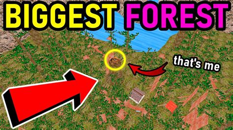 The BIGGEST FOREST MAP in Gorilla Tag VR | Giant Forest Map by ...