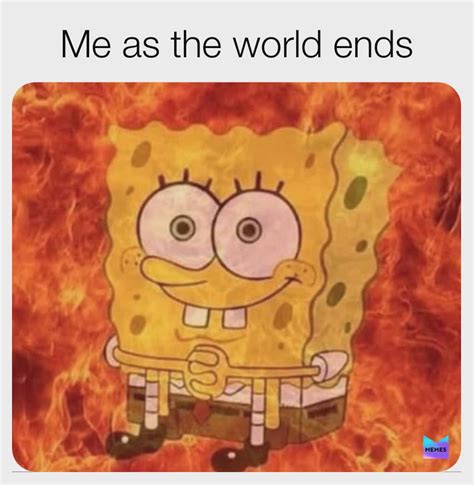 Me as the world is ending.. : r/memes