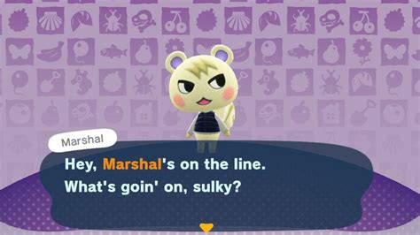 Marshal is the Most Popular Animal Crossing Villager, According to ...