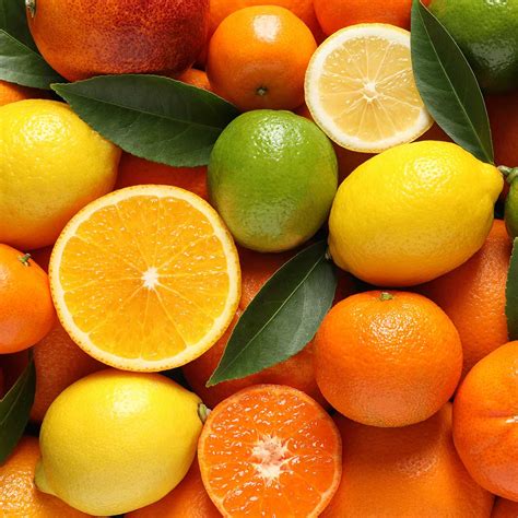 ORANGE AND LEMONS DAY - March 21, 2024 - National Today