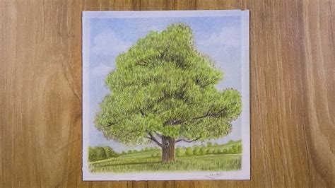 Drawing A Tree With Simple Colored Pencils Faber Castell - YouTube
