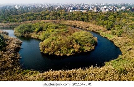 29 Yamuna biodiversity park Images, Stock Photos & Vectors | Shutterstock