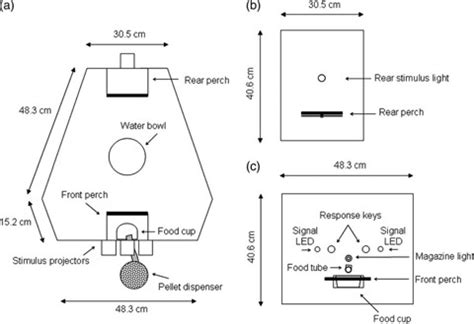 Diagram of apparatus (aka Skinner box) used for the experiment. (a ...