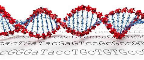 Comprehensive Genomic Profiling