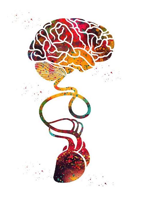 Brain and Heart by Erzebet S | Biology art, Brain art, Anatomy art