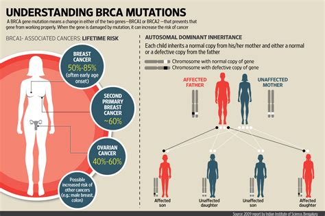 The science behind the breast cancer gene - Livemint