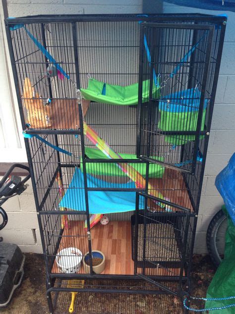 18 Ferret Cage Setup ideas | ferret cage, ferret, the hammocks