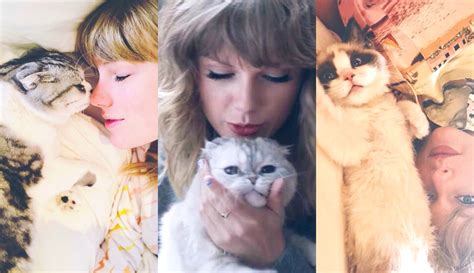 Endeared - Taylor Swift's Cats Are The Most Searched Celebrity Pets Of 2020