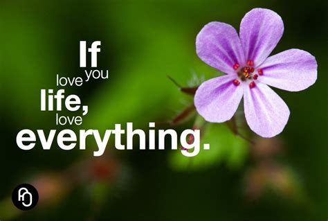 focusNjoy #51: If you love life, love everything