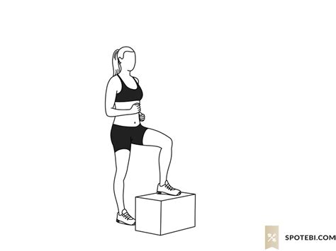 Step Up With Knee Raise | Illustrated Exercise Guide