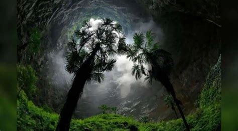 Ancient living forest discovered inside 200m sinkhole in China | Esquire Middle East – The ...