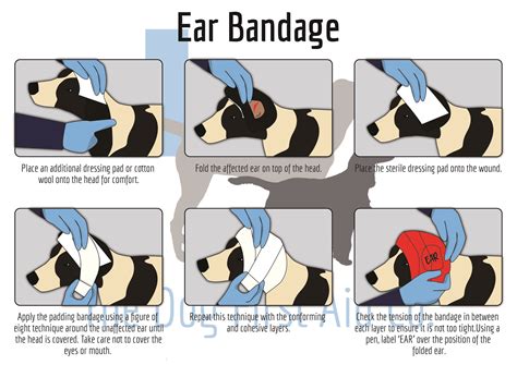 Ear Bandage | The Dog First Aid Co.