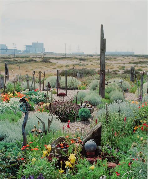 Derek Jarman: My garden's boundaries are the horizon - Garden Museum