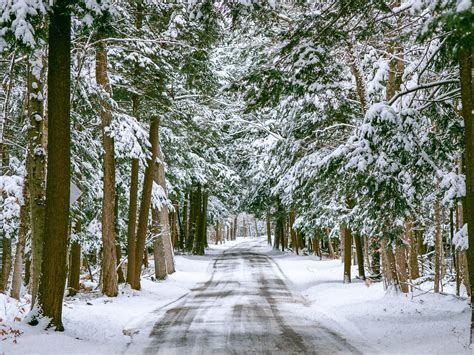 M-119 tunnel of trees. Cross Village, MI. Fujifilm C200 | Canon AE-1P ...