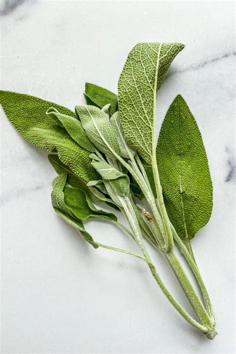 Crispy Sage Leaves Recipe - This Healthy Table