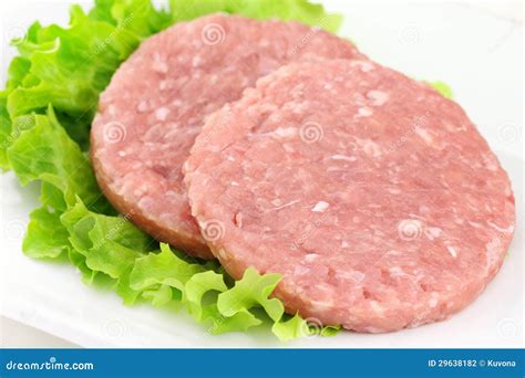 Rabbit burgers stock photo. Image of cheeseburger, recipe - 29638182