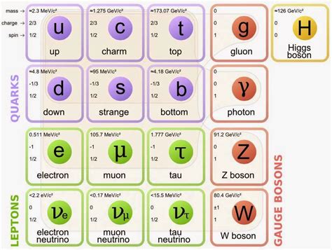 Particle physics made easy: More about leptons