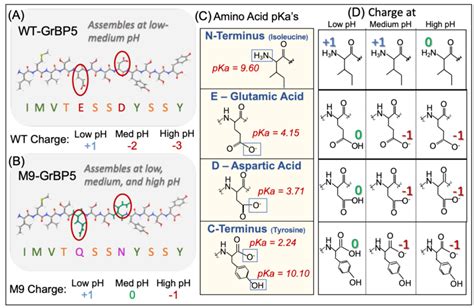 Amino Acid pKa and corresponding protonation states at low, medium, and... | Download Scientific ...