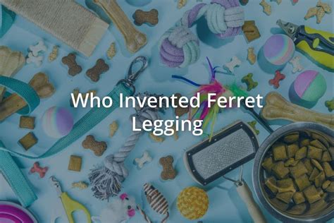 Who Invented Ferret Legging - Pets Encyclopedia