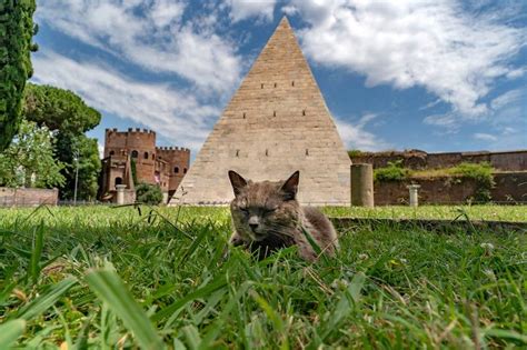 Discover the Pyramid of Cestius - Colosseum and Vatican Tours