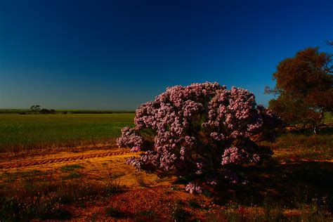 RV Friendly Perenjori - Discover RV Friendly Towns Australia Free Camping