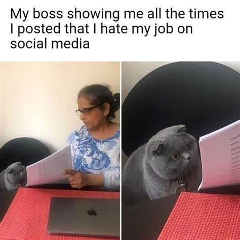 Lady Showing A Cat Papers Meme Template