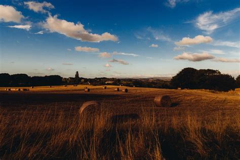 Hay Field Royalty Free Photo