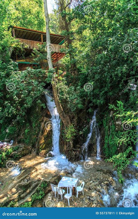 Harbiye Waterfall stock image. Image of biology, flowing - 55737811