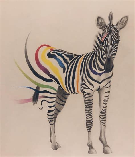 Colored Pencil Drawing - Zebra : r/drawing