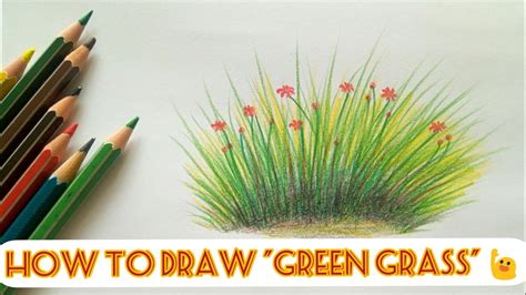 Draw grass the easy way with colour pencils| kids and beginners|step by step| #FabArtistMe - YouTube